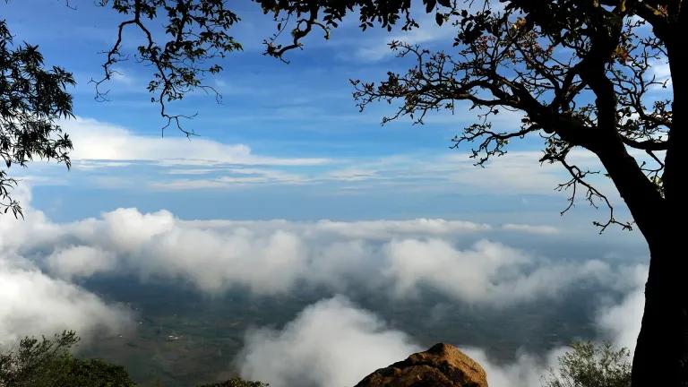 Nelliyampathy Kerala hill station with green hills and tea plantations