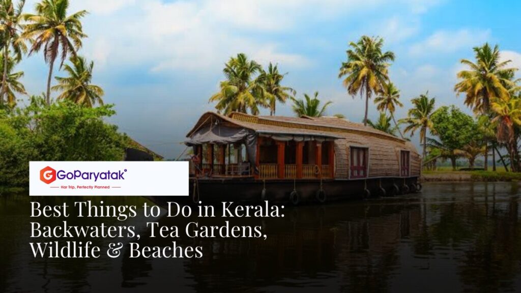 Best Things to Do in Kerala Backwaters, Tea Gardens, Wildlife & Beaches