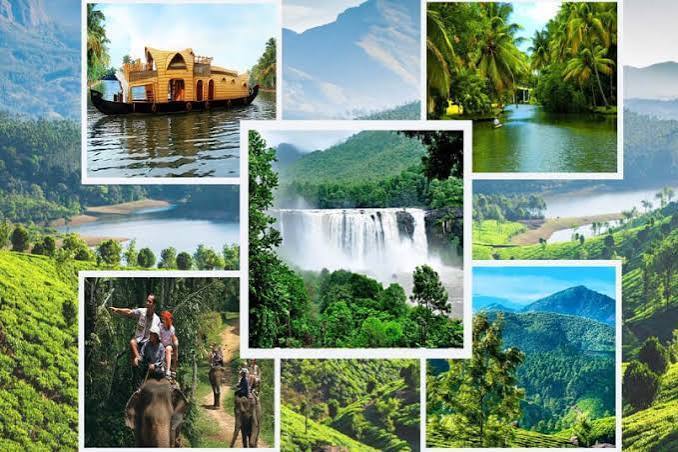 Best Things to Do in Kerala at a Glance