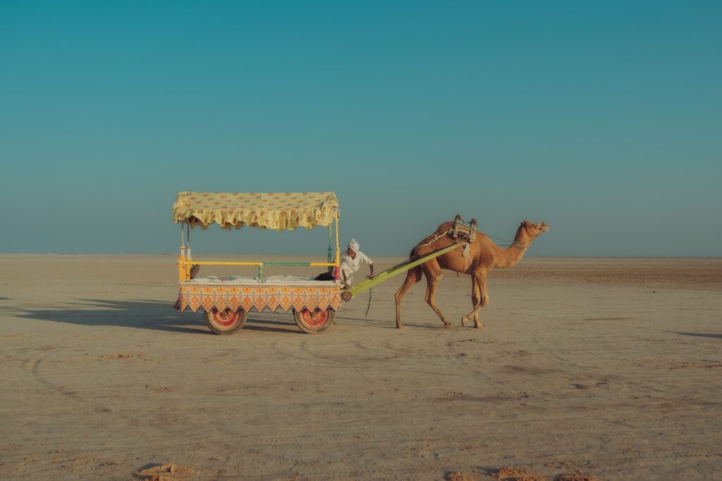 how to reach rann utsav